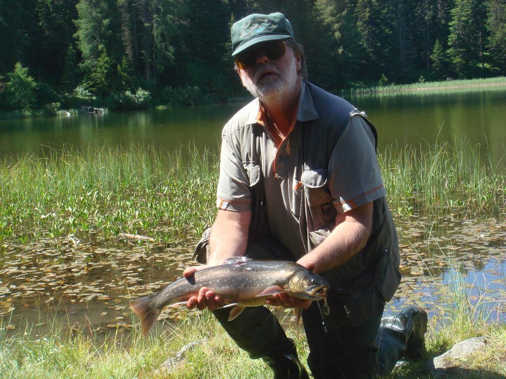 Landhaeusl Βίλα Weissensee Εξωτερικό φωτογραφία